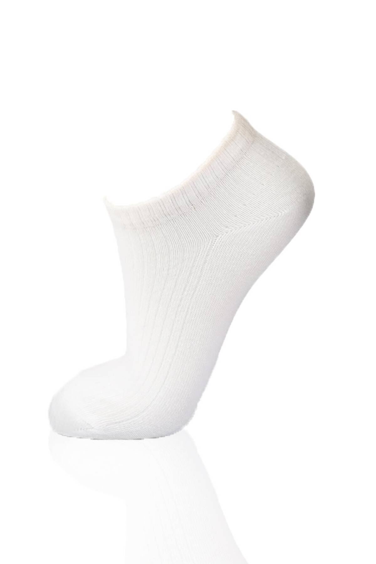 1106 3'lü Derbili Bayan Patik Çorap Laci-Ekru-Vizon - Stilay